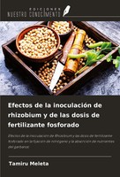 Tamiru Meleta | Efectos De La InoculacióN De Rhizobium Y De Las Dosis De...