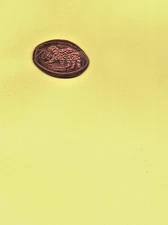 Erie Zoo Leopard Elongated Pressed Smashed Coin