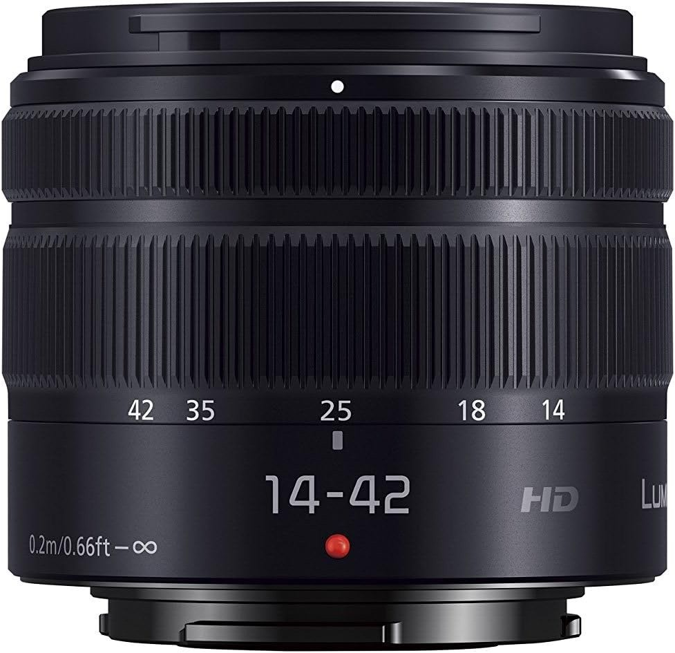パナソニック LUMIX G VARIO 2個セット レンタル - Panasonic(パナソニック)LUMIX G VARIO 14-140mm/F3
