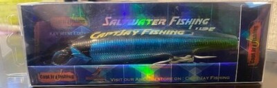 capt jays fishing lures Jay Deep Diving Fishing Swimbait Sinking Minnow Lure Saltwater Trolling Lure (Red Head(50g), 140mm) : Sports & Outdoors Capt Jay Fishing Saltwater jigs