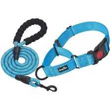 Reflective Martingale Dog Collar - Blue