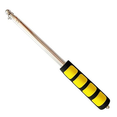 Guide Flag Pole Lehrzeiger Aus