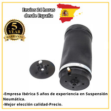 Balloon Rear Suspension Mercedes R-Class W251 A2513200425