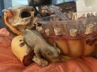 Spirit Halloween Rat’s Meal Chip ‘n Dip Retired Halloween Prop W/box RARE — photo 5