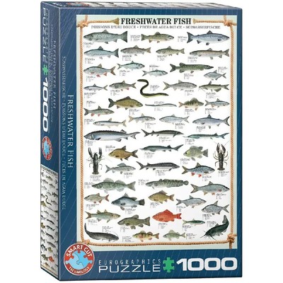 Süßwasserfische | Spiel | In Spielebox | Deutsch | 2024 | Eurographics