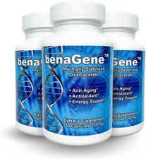 Oxaloacetate Supplement - Supports Cellular Energy, Healthy Metabolism, & Bod...