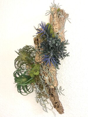 Artificial Succulent Air Plant  Wall Art Home Office Mounted on Real Wood Bark