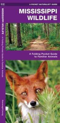 Mississippi Wildlife: An Introduction to Familiar Species by James Kavanagh: New