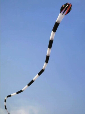 55M Long 3D Inflatable Soft Snake Kites Octopus Kites for Adults outdoor toys