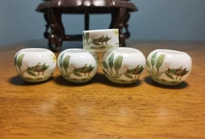 1set 5pcs Asian Bamboo Bird Cage long-horned grasshopper food ceramics cups 蝈蝈.鸟