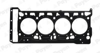 Payen Zylinderkopfdichtung FüR VW T-ROC 2.0 TSI 4Motion Tiguan Audi A4 Avant Q3