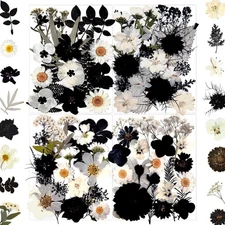 90Pcs Black Pressed Dried Flowers for Resin Molds, Real Natural Bulk Dry Flor...