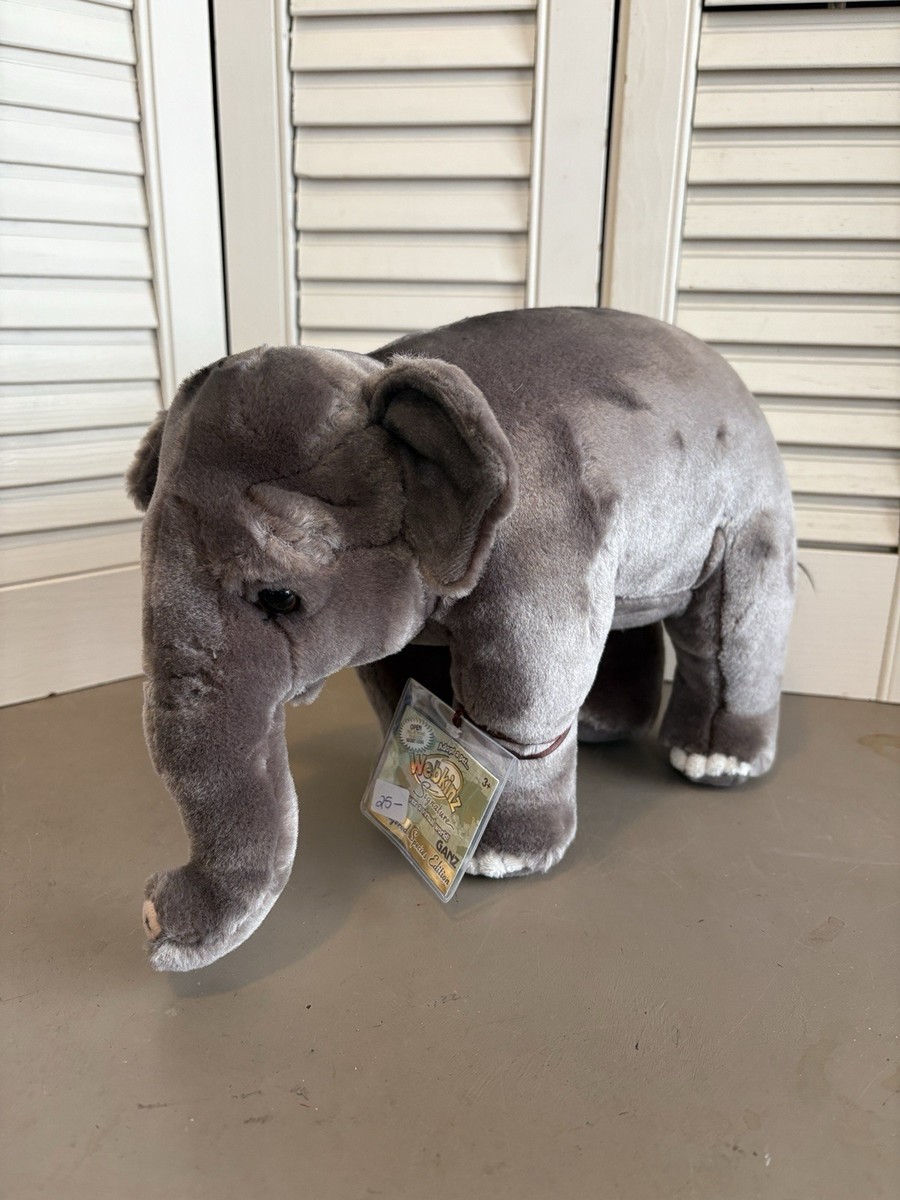 Elephant Brand 2冊 Zuny | Official Website | Proudct