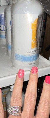 Scentsy clean COUNTER CLEAN - BATHROOM CLEANER - DISH SOAP - CLEANER CONCENTRATE