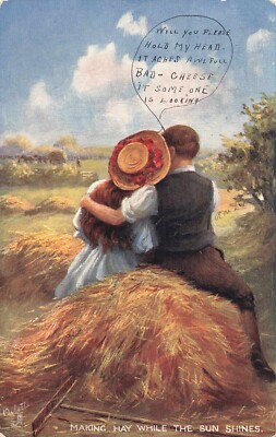 Tucks Postcard 1908 Oilette Making Hay While the Sun Shines England 9506
