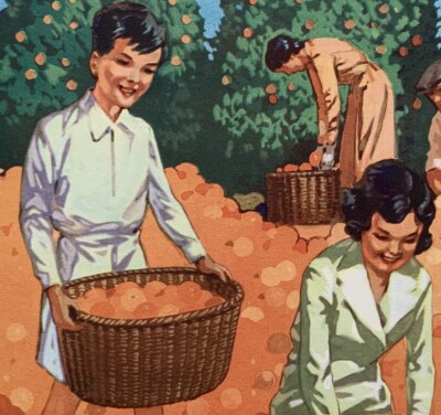 VINTAGE 1938 School Print - AN ORANGE GROVE - By William Fyffe -  ENID BLYTON