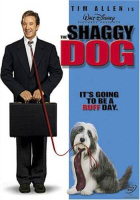 The Shaggy Dog - DVD - GOOD
