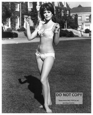 NATALIE WOOD IN ''PENELOPE'' - 8X10 PUBLICITY PHOTO (ZZ-689)