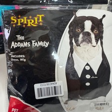 Spirit Addams Family Wednesday Pet Costume - Black and White large