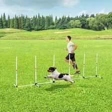 Sturdy Dog Weaves Poles Pet Speed and Agility Equipment Dogs Obstacle Outdoor w/