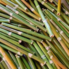 5pz Bastoncini Di Bambù Per Piante Da Giardino Supporto Fiore Stecche 10/20/30cm