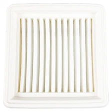 Echo A226002030 (1) Air Filter for Srm-2620 Pro Extreme Le262 T262