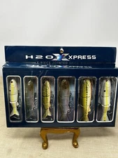 H20 Xpress 4.5” Jointed Shad Kit Glass Eyes Set Of 6