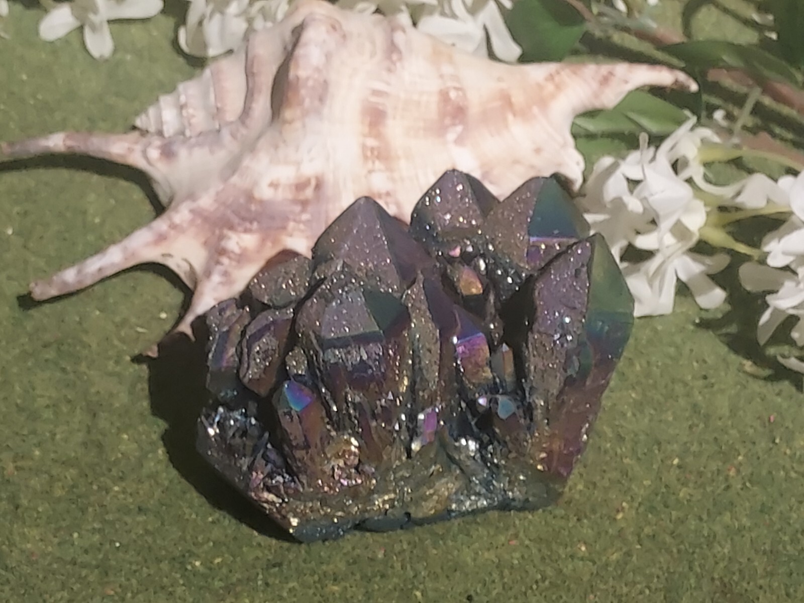 Picture 2 of 4