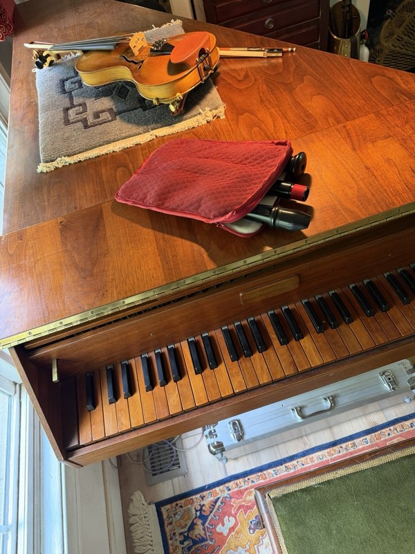 Bernolin Resin Alto Recorder 440 Hz