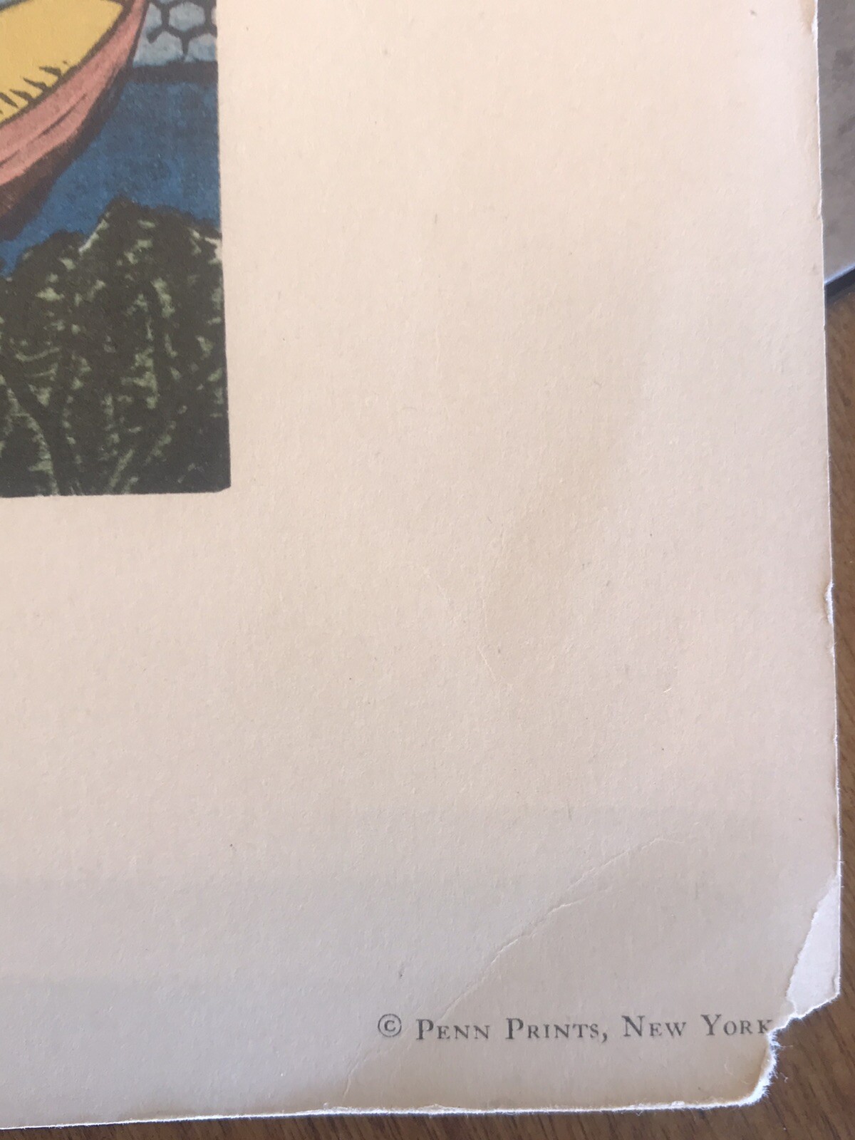 Picture 5 of 5