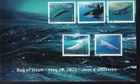 Canada limited edition private FDC, 2022 Endangered Whales, set of 5 'P' from BK
