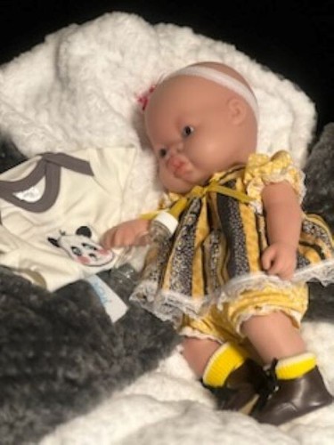 Danke, dass du ein Freund bist! - 3,14 Pfund "Brandy" Vollplatin Silikon Babypuppe 13 Zoll - Bild 11 von 19