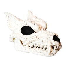 Werewolf Skull - Morris Costumes