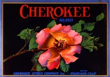 Highland San Bernardino Cherokee Rose Lemon Citrus Fruit Crate Label Art Print