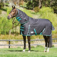 Weatherbeeta Green-Tec 900D Detach-A-Neck Medium Weight Turnout Rug Recycled 