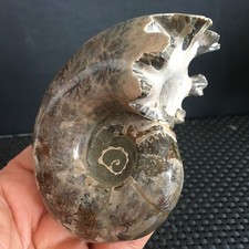 262g Natural polished  stone Carving   specimens of Madagascar  m3804