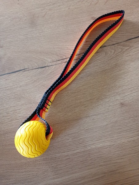 Pelota Mordedor Perro Con Cinta Envio Nacional Gratis