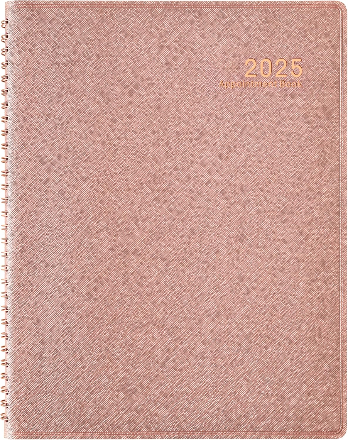 2025 Appointment Book/Planner - 53 Weeks Daily Planner 2025, JAN. 2025 - DEC. 20