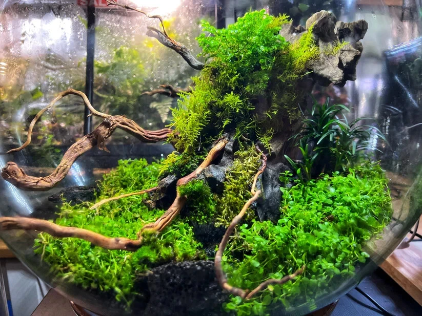 Picture 2 of 6