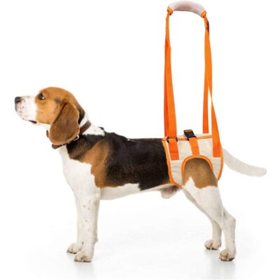 Cabestrillo De Perros Soporte De Cadera para Patas Traseras Arnes Ayuda Canina