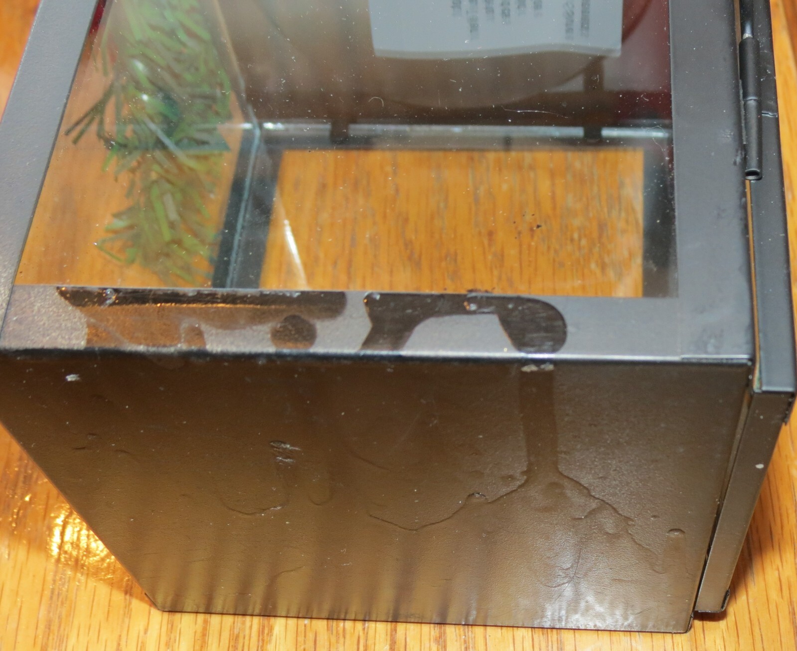Picture 5 of 9