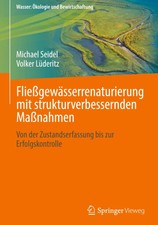 Fließgewässerrenaturierung mit strukturverb...