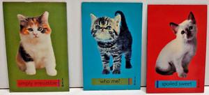 3 Cat Fridge Magnets