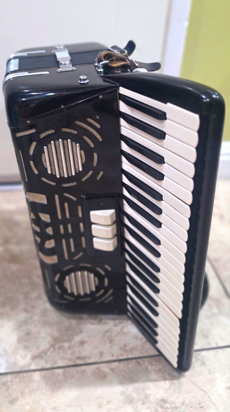 usable classic accordion