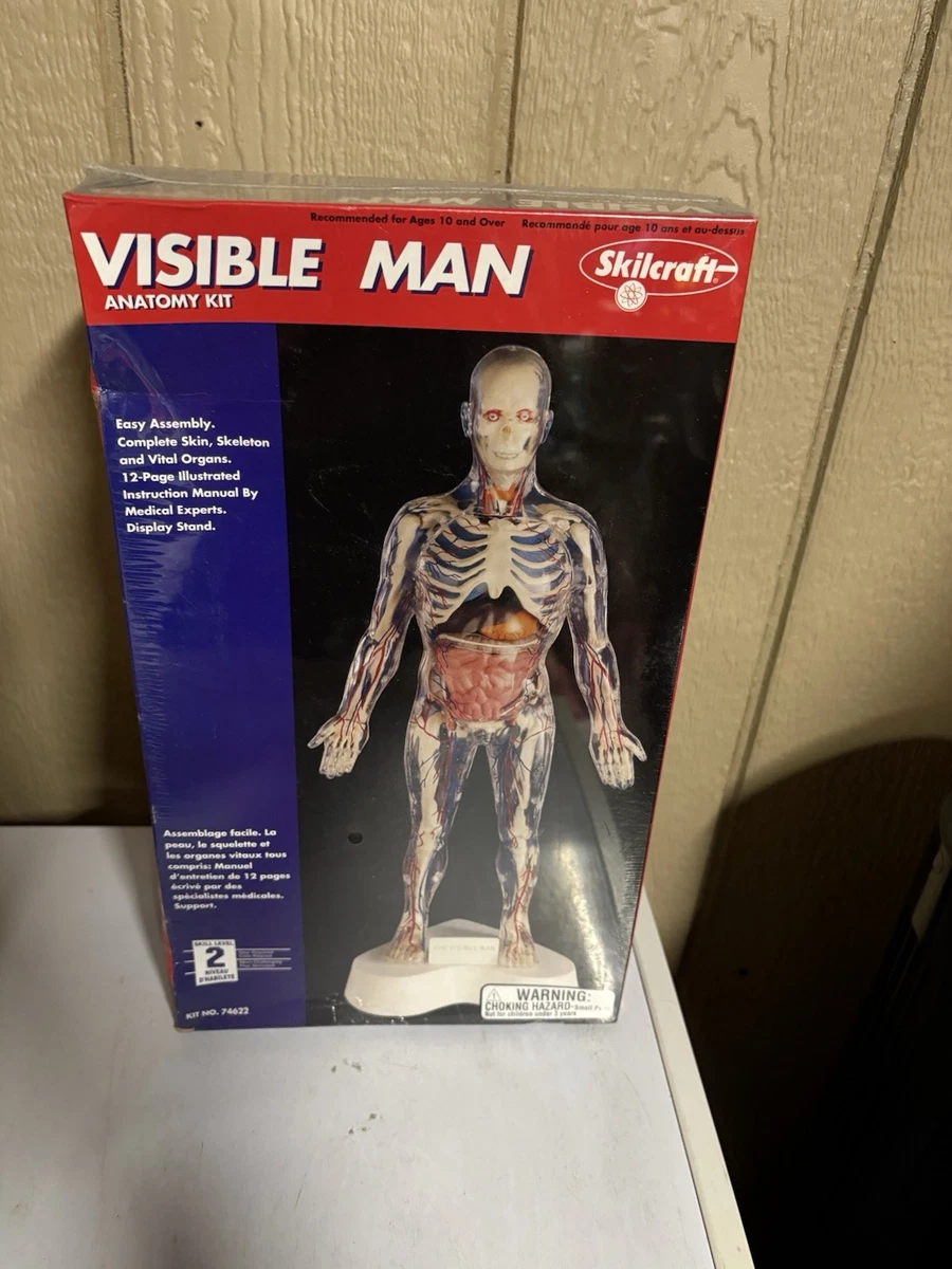 visible man products for sale | eBay