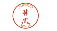4" army c troop 3-17 cavalry charliehorse scouts bumper sticker decal usa made