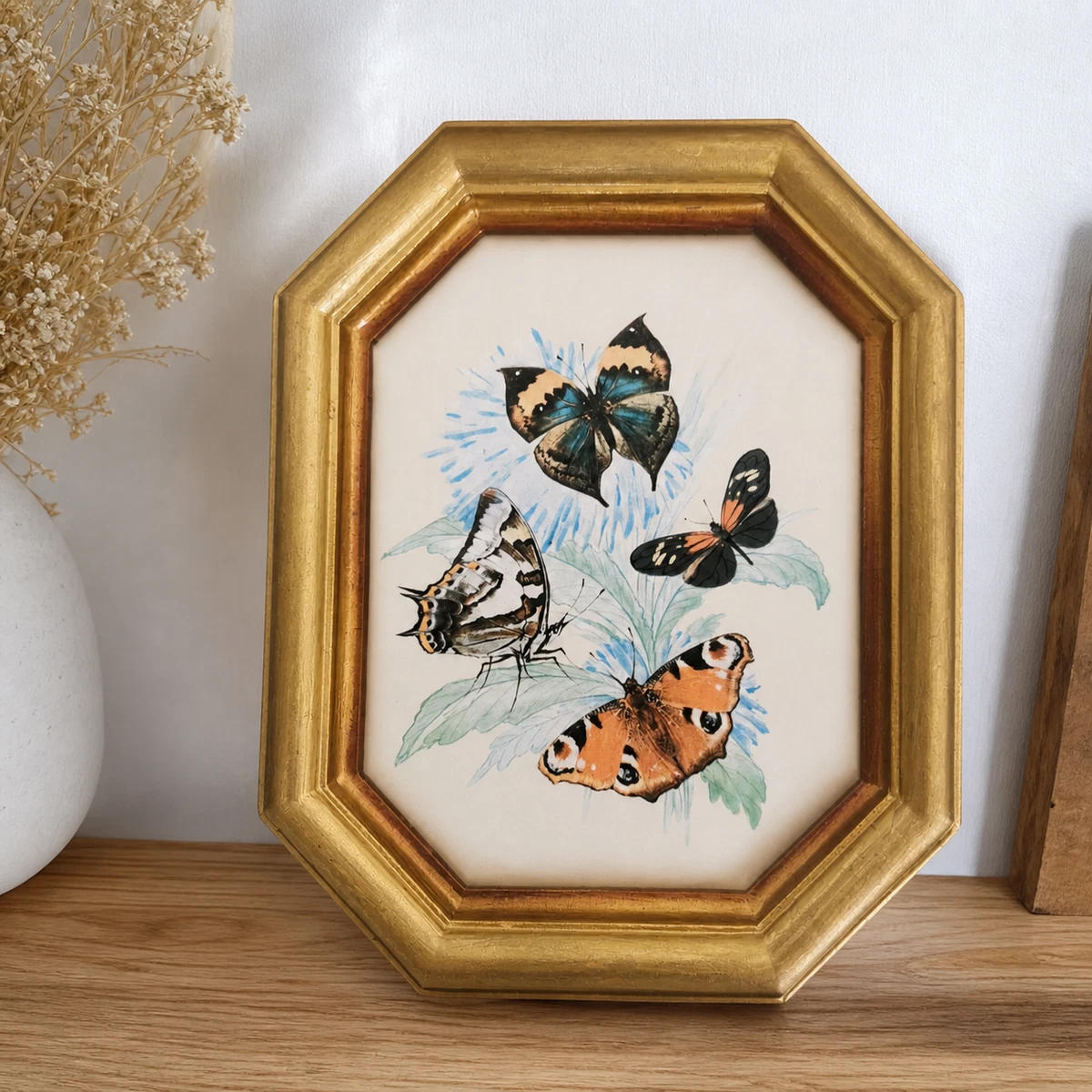 Véritable Papillon Encadré 5 Pièces - Spécimen Taxidermie Cadre Blanc Ou Noir