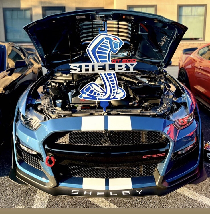 Shelby GT350 Mustang Hood Prop CANDY RED&BLACK Powder Coated ...
