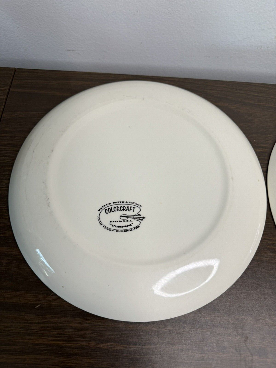Taylor Smith & Taylor Colorcraft Set/2 Dinner Plates Vineyard 10 1