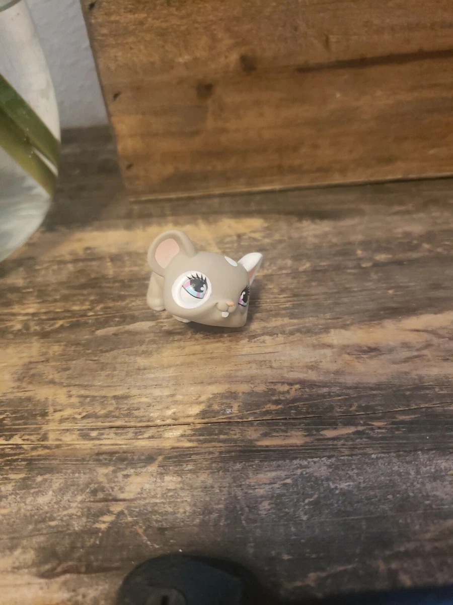 White mouse pet shop near outlet me